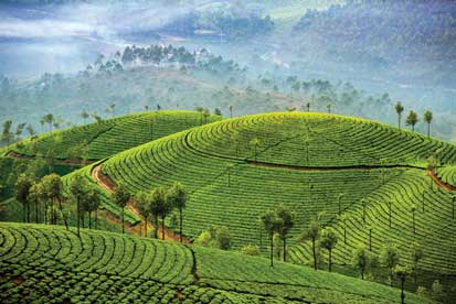 Munnar Tourism